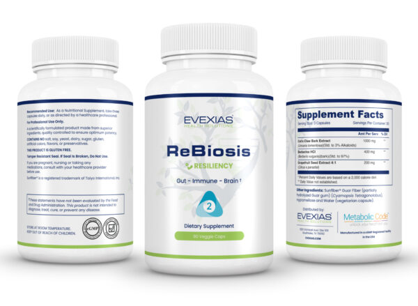 ReBiosis - Image 2